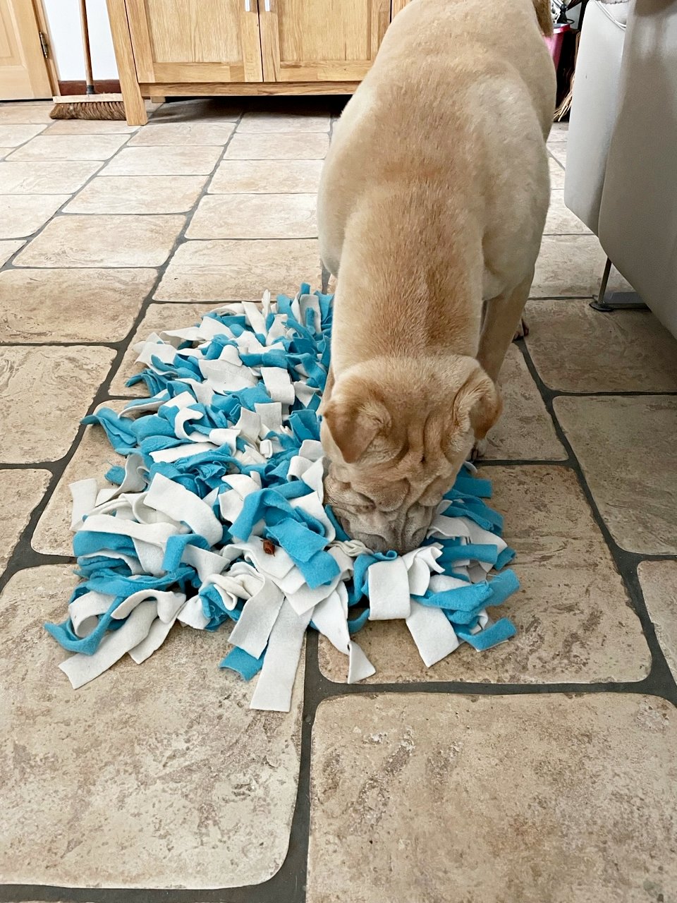 You are currently viewing DIY – Fabriquer un « snuffle mat » ou tapis de fouille pour chien