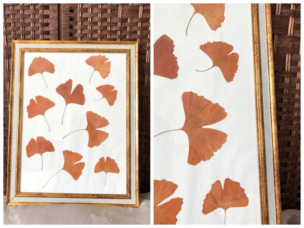 Lire la suite à propos de l’article DIY Automnal – Un tableau nature avec des feuilles de ginkgo biloba
